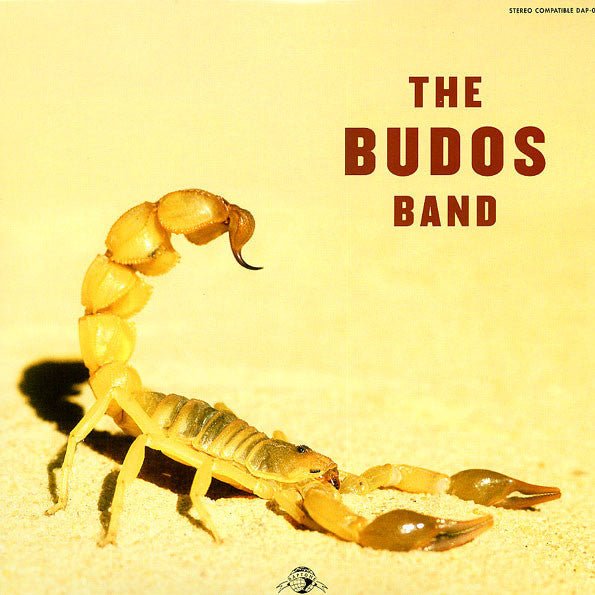 The Budos Band - II - LP - La Boîte Musicale - Vinyl Records - Vinyl Records - 