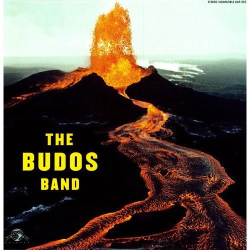 The budos band LP - La Boîte Musicale - Vinyl Records - Vinyl Records - 