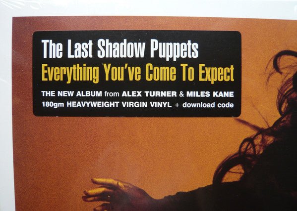 The Last Shadow Puppets - Everything You've Come To Expect - LP - La Boîte Musicale - Vinyl Records - Vinyl Records - 