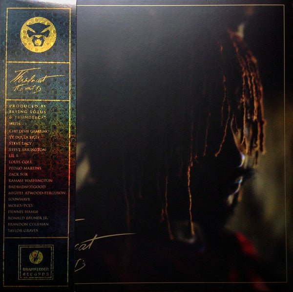 Thundercat – It Is What It Is - La Boîte Musicale - Vinyl Records - Vinyl Records - 