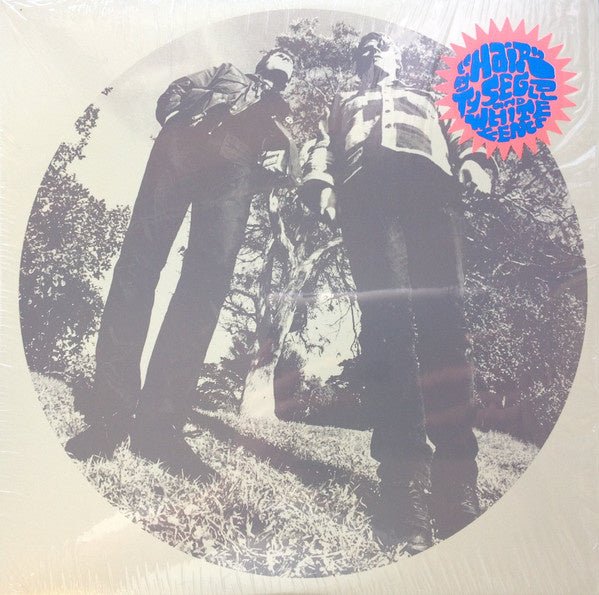 Ty Segall & White Fence – Hair - La Boîte Musicale - Vinyl Records - Vinyl Records - 