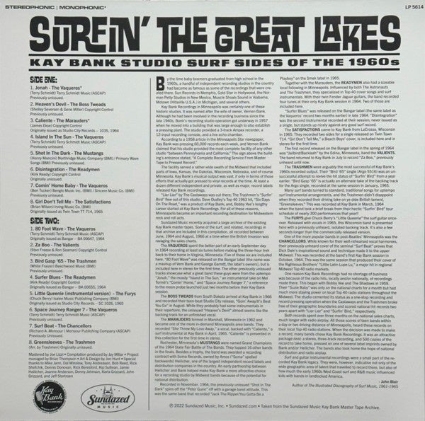 Various - Surfin' The Great Lakes - La Boîte Musicale - Vinyl Records - Vinyl Records - 